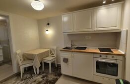 Garsoniera de inchiriat, 30 mp, zona Centrala 