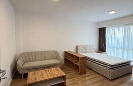 Apartament cu o camere, 40 mp, zona Zorilor - Frunzisului 