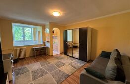 Garsoniera 30 mp, moderna, zona - Minerva