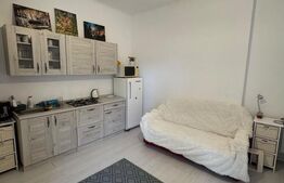 Garsoniera de inchiriat, 29 mp, zona Centrul Istoric