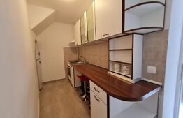 Garsoniera de inchiriat, 35 mp, zona Centru Vechi