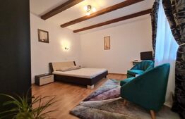 Garsoniera de inchiriat, 35 mp, zona Centru Vechi