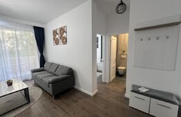 Apartament 2 camere, 45 mp, zona Cetatii