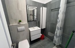 Apartament 2 camere, 45 mp, zona Cetatii