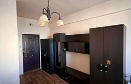 Garsoniera de vanzare, 21 mp, zona Dambul Rotund