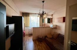 Garsoniera de vanzare, 21 mp, zona Dambul Rotund