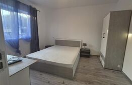 Casa de inchiriat, 110 mp utili, 500 m curte proprie -cartier Izvor 