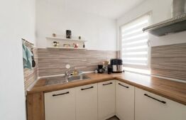 Garsoniera de vanzare, 25 mp, zona Uzina 2