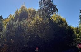 Teren intravilan, 2.000 mp, zona Geamana - Codlea