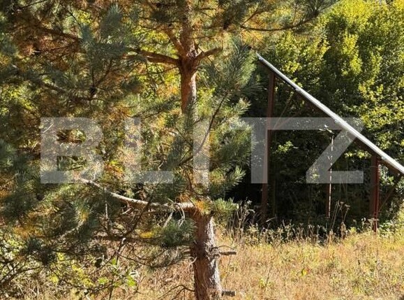 Teren de vânzare Codlea - 207316TV | BLITZ Brașov | Poza4