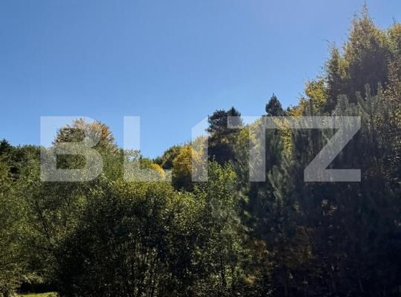 Teren de vânzare Codlea - 207316TV | BLITZ Brașov | Poza1