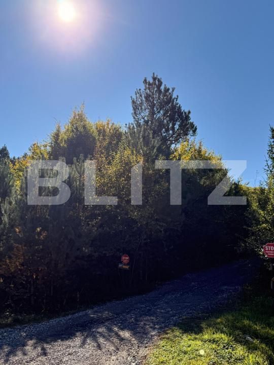 Teren de vânzare Codlea - 207316TV | BLITZ Brașov | Poza3