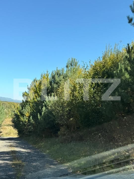 Teren de vânzare Codlea - 207316TV | BLITZ Brașov | Poza2