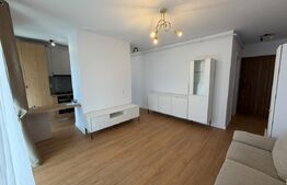 Apartament 2 camere, 50 mp, zona Somesului