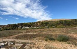 Apartament 2 camere, 50 mp, zona Somesului
