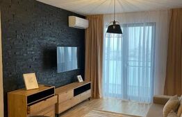 Penthouse Urban cu priveliște panoramică | 2 camere | 60 mp | Park Lake