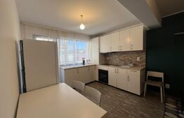Apartament o camera, 40 mp, zona Stejarului 