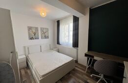 Apartament o camera, 40 mp, zona Stejarului 