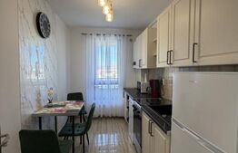 Apartament 2 camere, 59 mp, A.C. Cat friendly, Park Lake