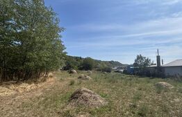 🏡 Oportunitate în Petrești! 22 Ari Teren Intravilan 