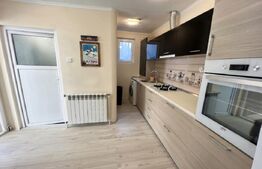 Casa un dormitor, 45 mp, zona Dambul Rotund