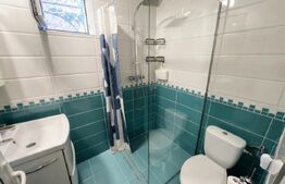 Casa un dormitor, 45 mp, zona Dambul Rotund