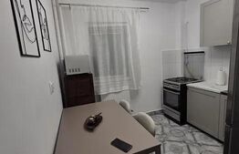Apartament 1 camera, 42 mp, pet-friendly, zona Mehedinti