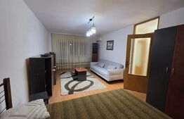Apartament 1 camera, 42 mp, pet-friendly, zona Mehedinti