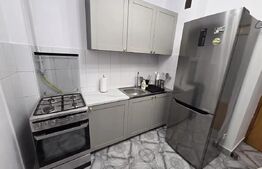 Apartament 1 camera, 42 mp, pet-friendly, zona Mehedinti