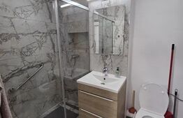Apartament 1 camera, 42 mp, pet-friendly, zona Mehedinti