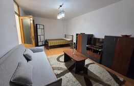 Apartament 1 camera, 42 mp, pet-friendly, zona Mehedinti