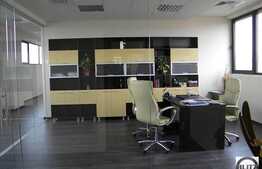 234 mp office clasa A in centru Clujului !