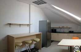 Birouri in zona Piata Engels