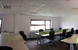 Birouri in zona Piata Engels