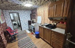 Casa de vanzare, 53.90 mp, teren 1000 mp, zona Bunesti 