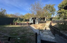 Casa de vanzare, 53.90 mp, teren 1000 mp, zona Bunesti 