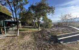 Casa de vanzare, 53.90 mp, teren 1000 mp, zona Bunesti 