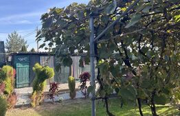 Casa de vanzare, 53.90 mp, teren 1000 mp, zona Bunesti 