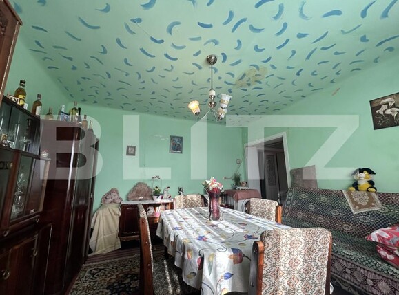 Casa de vânzare 2 camere Bunesti - 207458CV | BLITZ Cluj-Napoca | Poza3