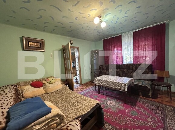 Casa de vânzare 2 camere Bunesti - 207458CV | BLITZ Cluj-Napoca | Poza6