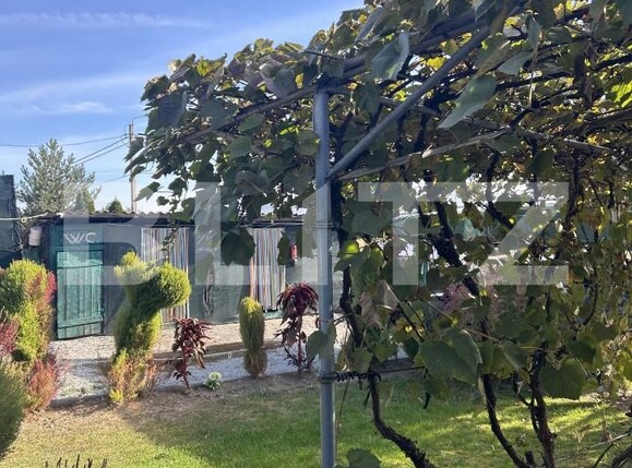 Casa de vânzare 2 camere Bunesti - 207458CV | BLITZ Cluj-Napoca | Poza13