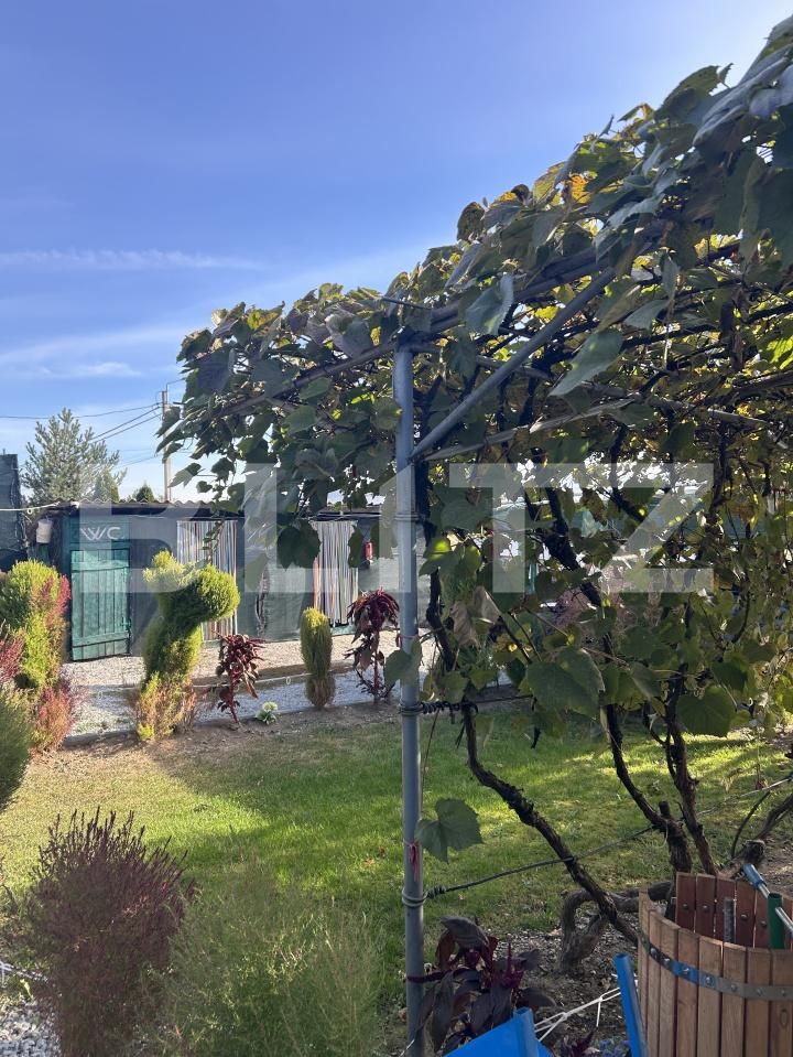 Casa de vânzare 2 camere Bunesti - 207458CV | BLITZ Cluj-Napoca | Poza13