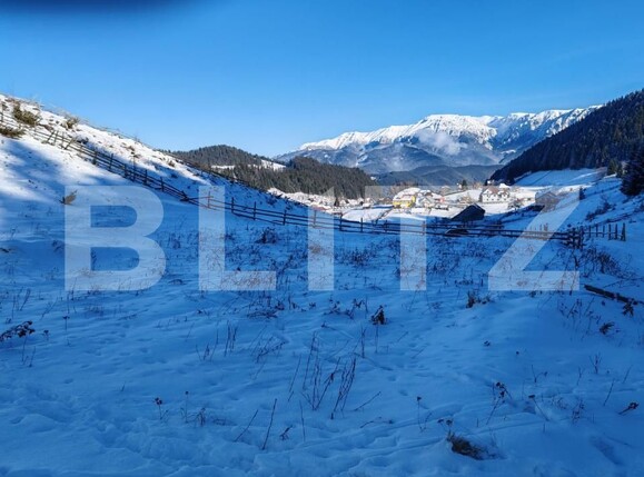 Teren de vânzare Fundata - 207483TV | BLITZ Brașov | Poza8