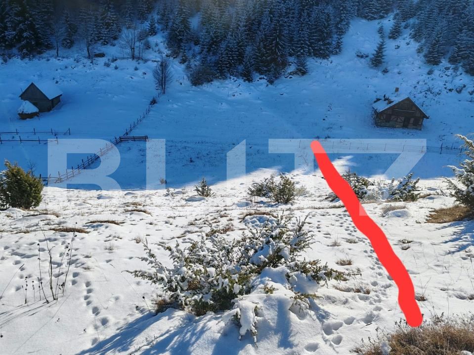 Teren de vânzare Fundata - 207483TV | BLITZ Brașov | Poza4