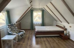 Apartament de închiriat 2 camere Central - 166651AI | BLITZ Cluj-Napoca | Poza1