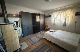 Casa recent renovata, mobilata si utilata, Ploscos