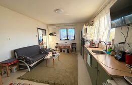 Casa recent renovata, mobilata si utilata, Ploscos