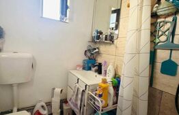 Casa recent renovata, mobilata si utilata, Ploscos