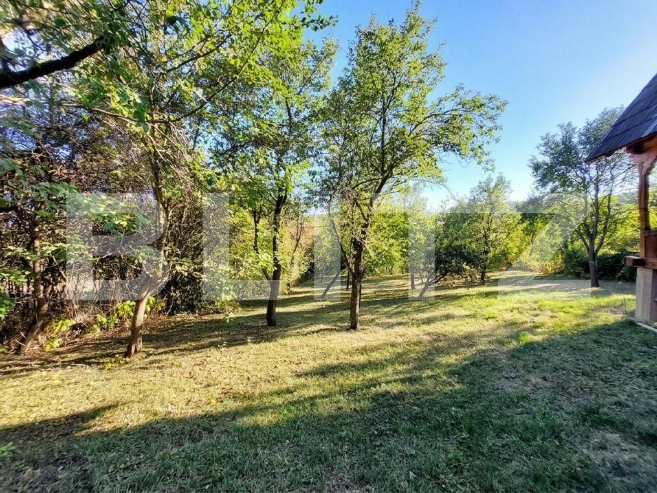 Casa de vânzare 3 camere Coruşu - 207535CV | BLITZ Cluj-Napoca | Poza12