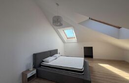 Apartament 2 camere, 80 mp, zona Porii
